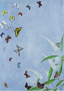 Campbell Rebecca; Salvation ,2006