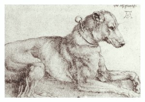Dürer Albrecht; Liegender Hund , 1521