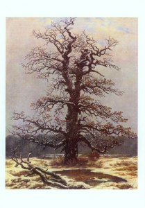 ; Eiche im Schnee (am Tümpel) , 1827/28