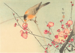 Koson Ohara; Singvogel auf Blütenzweig , ca. 1900-1936