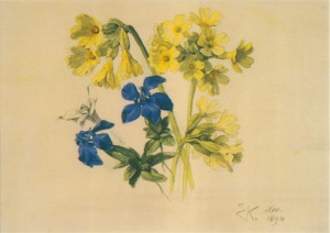 Kreidolf Ernst; Primrose, Gentian and Edelweiss , 1894