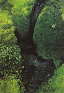 Papentin Frank; Moss and little Brook