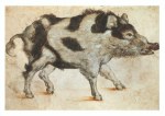 Cranach Lucas der Ältere; Gefleckter Wildeber , 1525✝?30