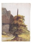 Dürer Albrecht; Baum im Steinbruch , 1496
