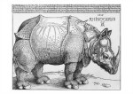 Dürer Albrecht; Das Rhinozeros (Rhinocerus ) , 1515