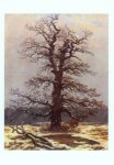 Friedrich Caspar David; Eiche im Schnee (am Tümpel) , 1827/28