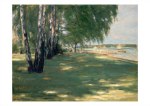 Liebermann Max; Garten des Künstlers in Wannsee , 1918